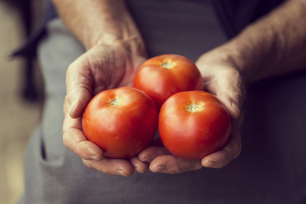 tomate fruit ou légume