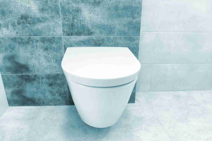 wc suspendu geberit